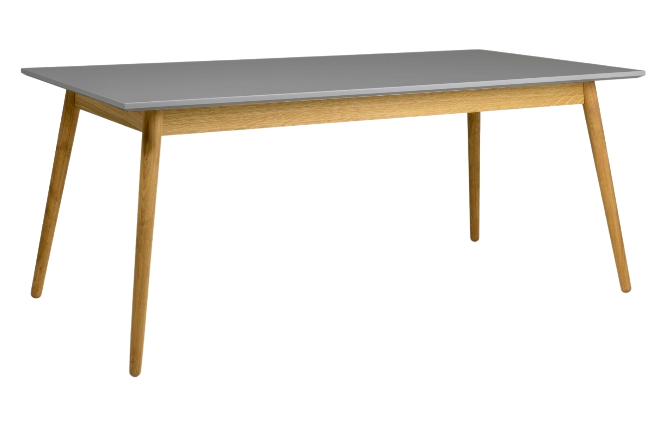 Matně šedý lakovaný jídelní stůl Tenzo Dot 180 x 90 cm